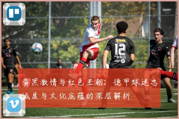 黄黑激情与红色王朝:德甲球迷忠诚度与文化底蕴的深层解析
