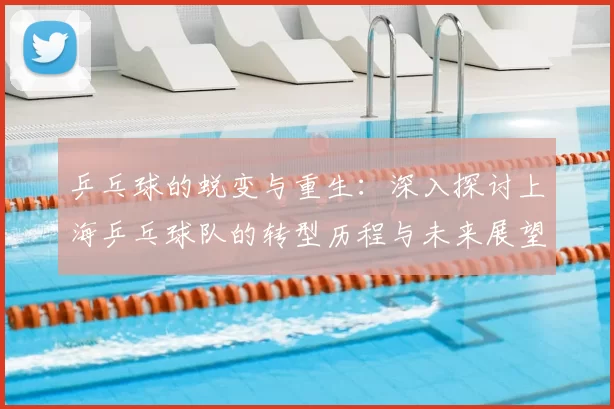 乒乓球的蜕变与重生:深入探讨上海乒乓球队的转型历程与未来展望