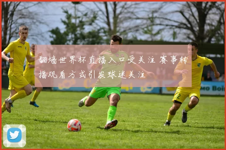 翻墙世界杯直播入口受关注 赛事转播观看方式引发球迷关注