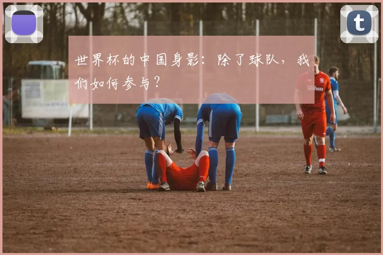 世界杯的中国身影：除了球队，我们如何参与？
