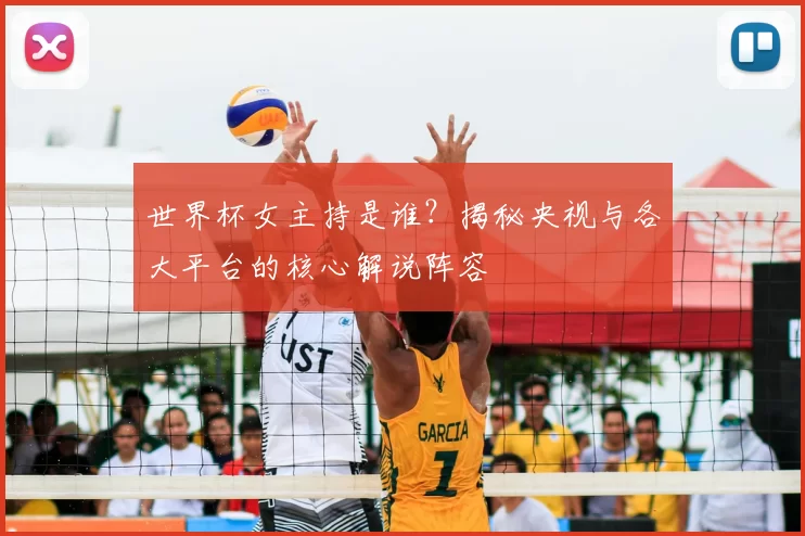 世界杯女主持是谁?揭秘央视与各大平台的核心解说阵容