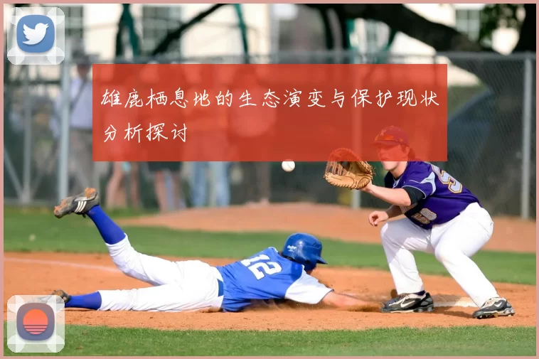 雄鹿栖息地的生态演变与保护现状分析探讨