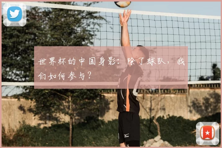 世界杯的中国身影：除了球队，我们如何参与？