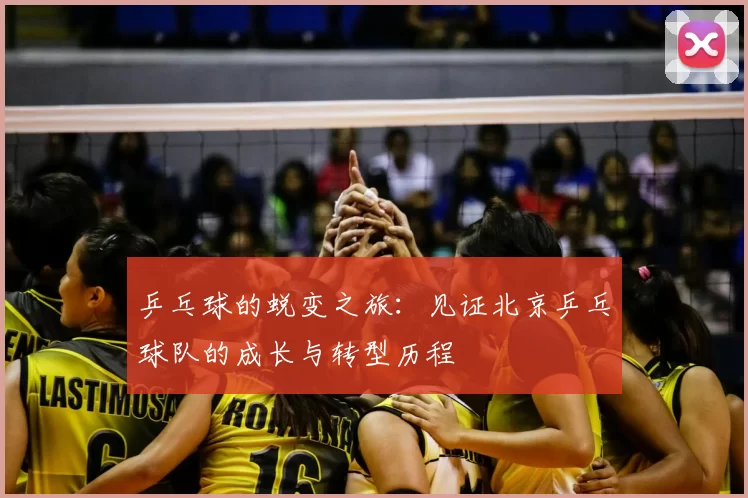 乒乓球的蜕变之旅:见证北京乒乓球队的成长与转型历程