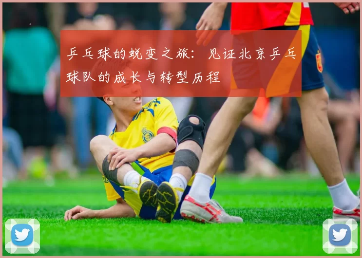 乒乓球的蜕变之旅：见证北京乒乓球队的成长与转型历程