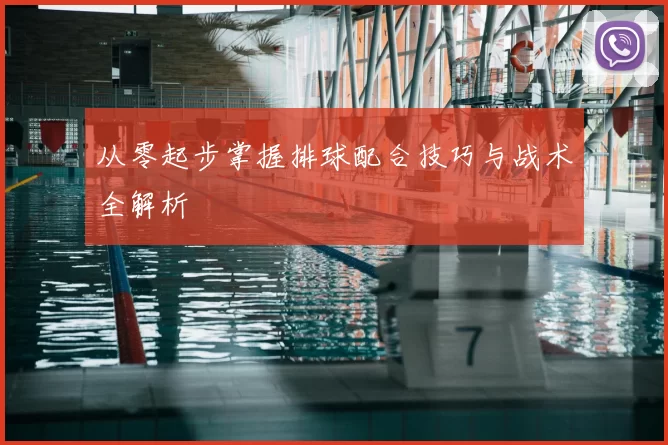 从零起步掌握排球配合技巧与战术全解析